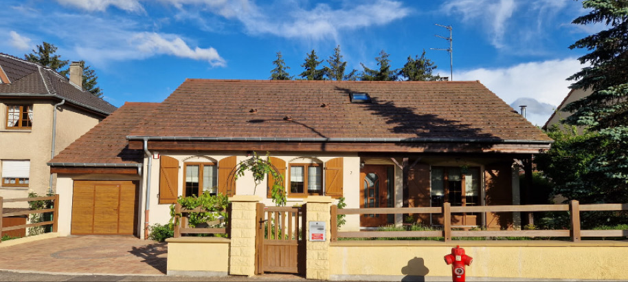 Toiture avant démoussage